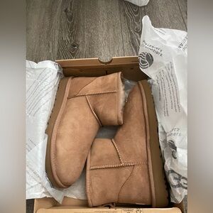 UGG Brown Shoes